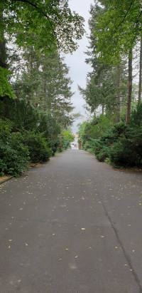 Friedhof Berlin