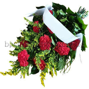 Rote Nelken Blumen zur Beerdigung