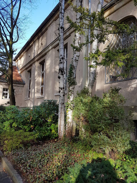 Parkfriedhof Lichterfelde in Berlin SteglitzZehlendorf