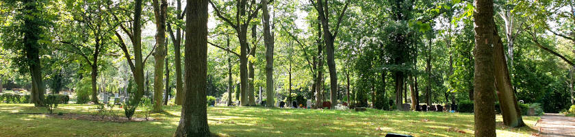 Urnenbestattung mit Trauerfeier auf dem Parkfriedhof Marzahn